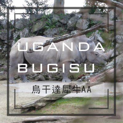 烏干達有機布吉蘇AA(犀牛AA)-咖啡熟豆