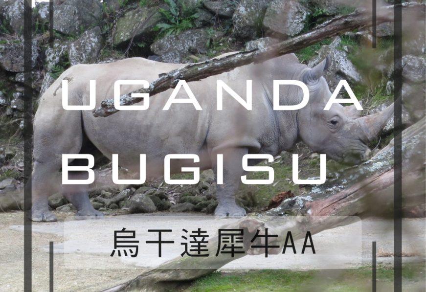 烏干達有機布吉蘇AA(犀牛AA)-咖啡熟豆