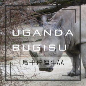 烏干達有機布吉蘇AA(犀牛AA)-掛耳咖啡