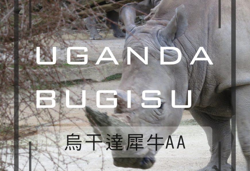 烏干達有機布吉蘇AA(犀牛AA)-掛耳咖啡