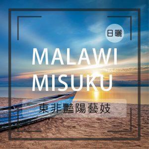 馬拉威東非豔陽藝妓日曬-咖啡熟豆