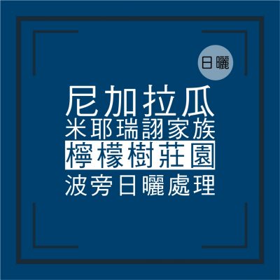 尼加拉瓜米耶瑞詡波旁日曬-咖啡熟豆