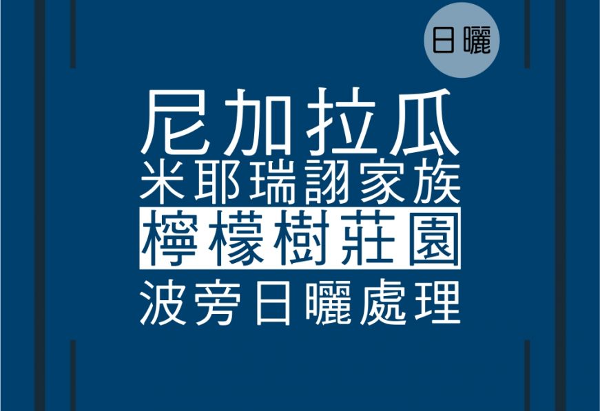 尼加拉瓜米耶瑞詡波旁日曬-咖啡熟豆
